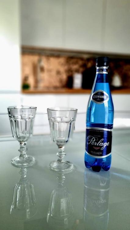 Apartament Na Kaszubach Косцежина Екстериор снимка